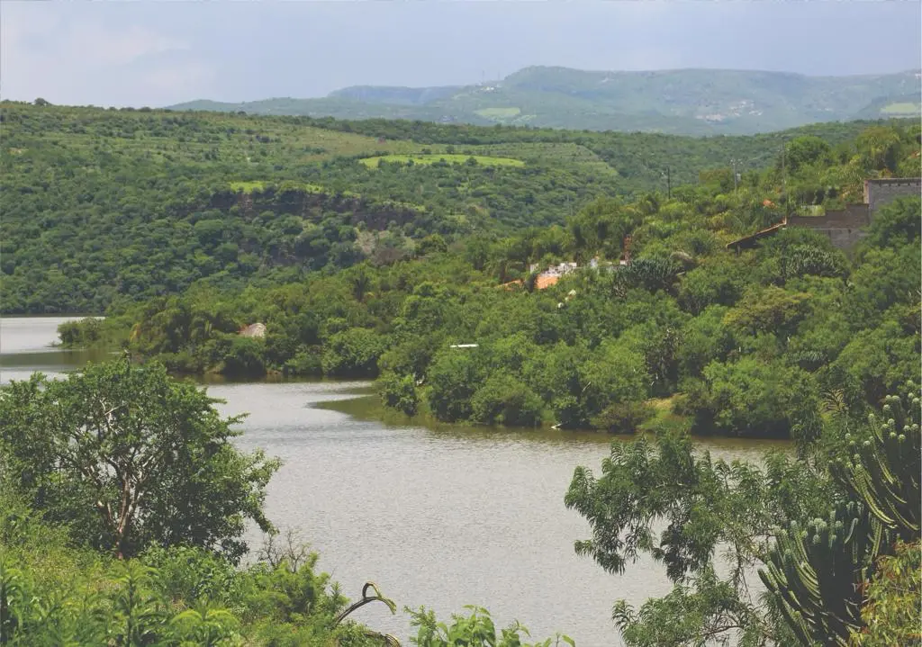 Fondo Mundial para el Medio Ambiente dona 10 millones de dólares a Aguascalientes