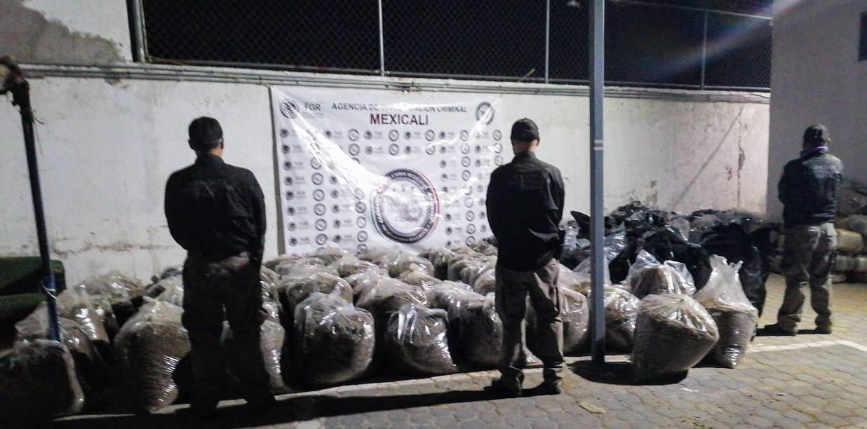 FGR Asegura Más de 2 Toneladas de Marihuana en Mexicali, BC