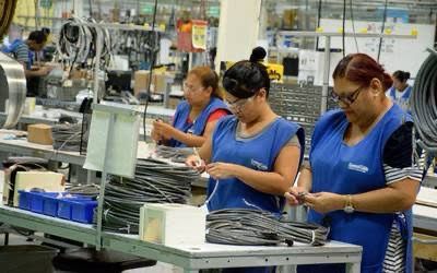 Migrantes no pueden ser contratados en industrias por falta de flexibilidad en bancos