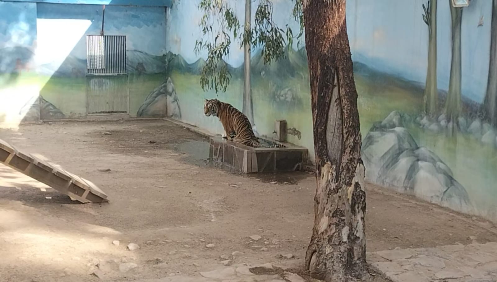 Preparan Zoológico Sahuatoba para temporada de calor
