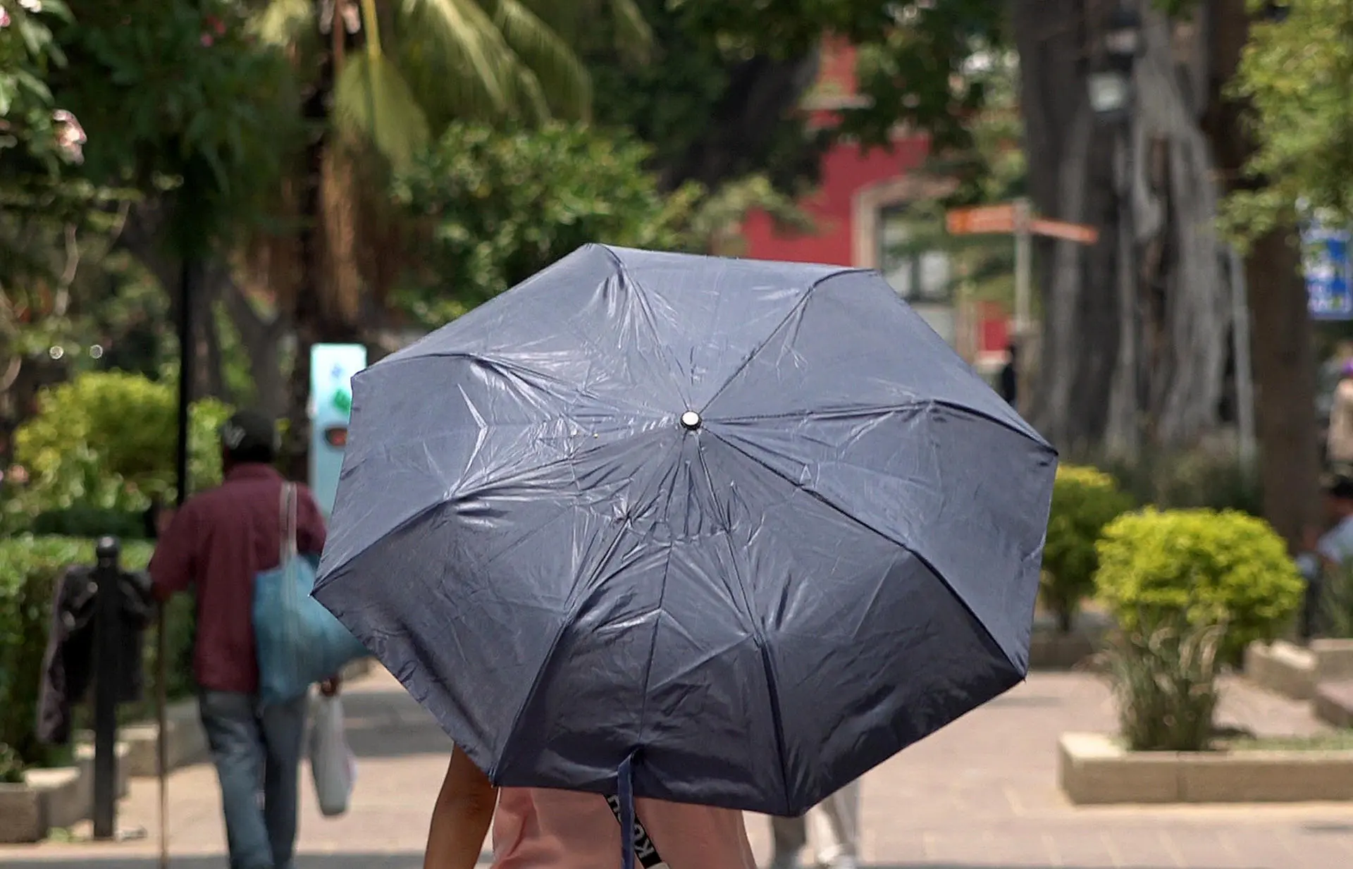 Aguascalientes espera temperaturas de hasta 35° este año; médicos advierten riesgos
