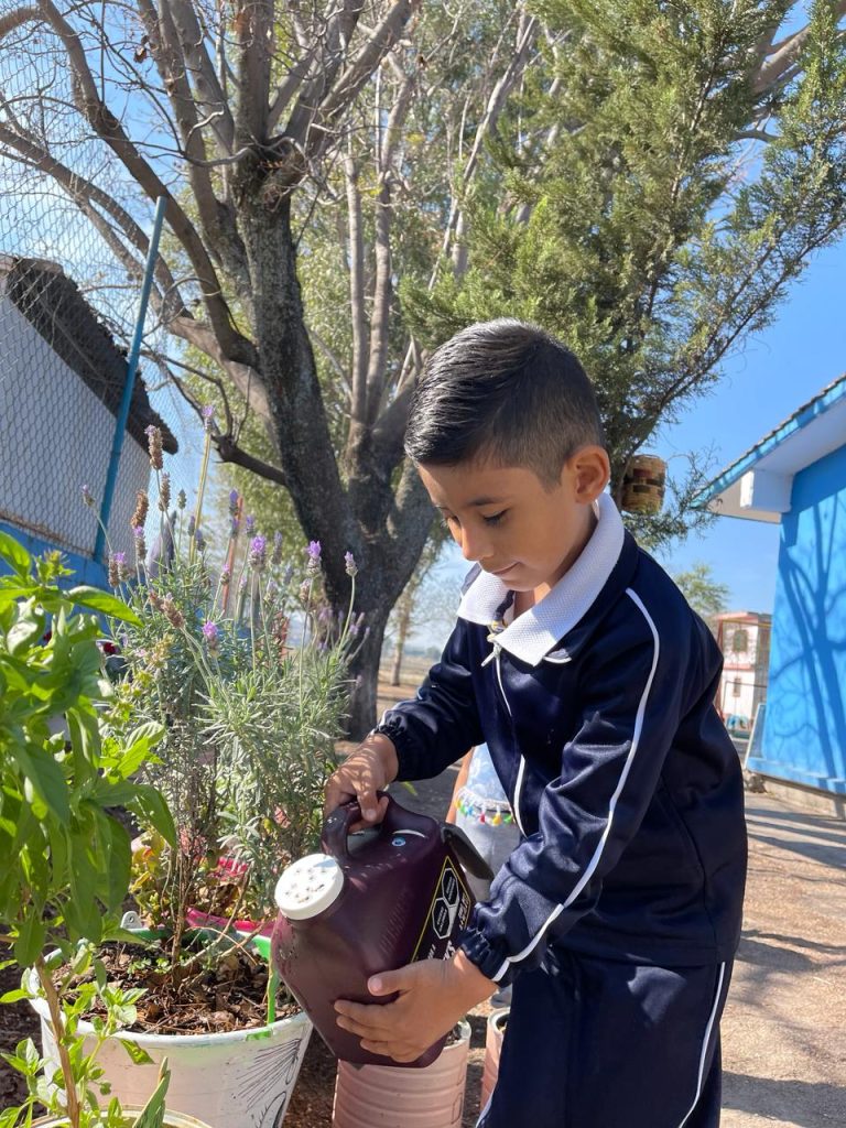 Fomentando la educación ecosustentable