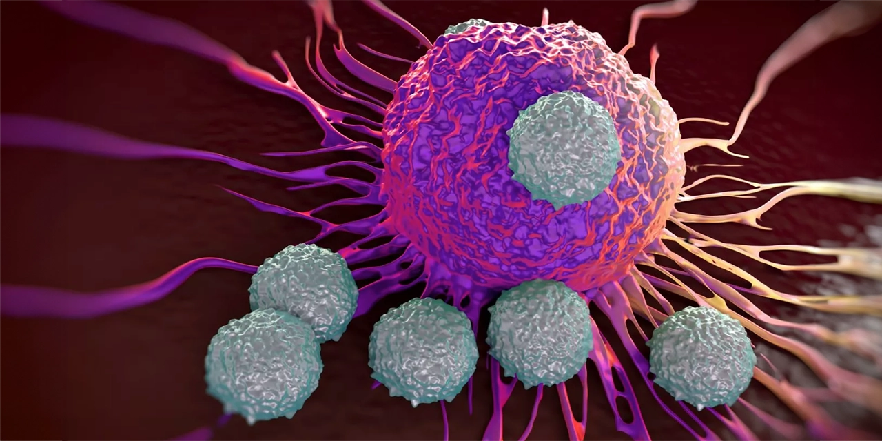 La ciencia revela cómo el cáncer evade el sistema inmunológico humano