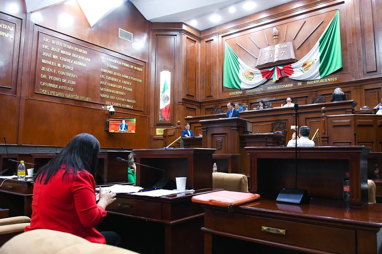 Avalan diputados expedición de licencias de conducir digitales