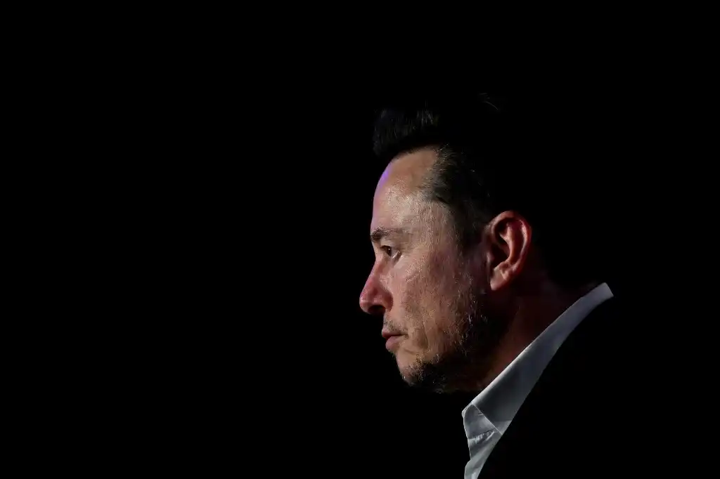 Elon Musk Brasil