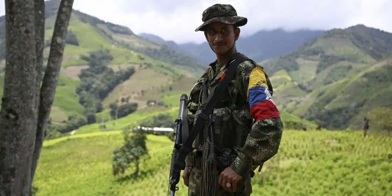 Guerrilla Colombia TikTok