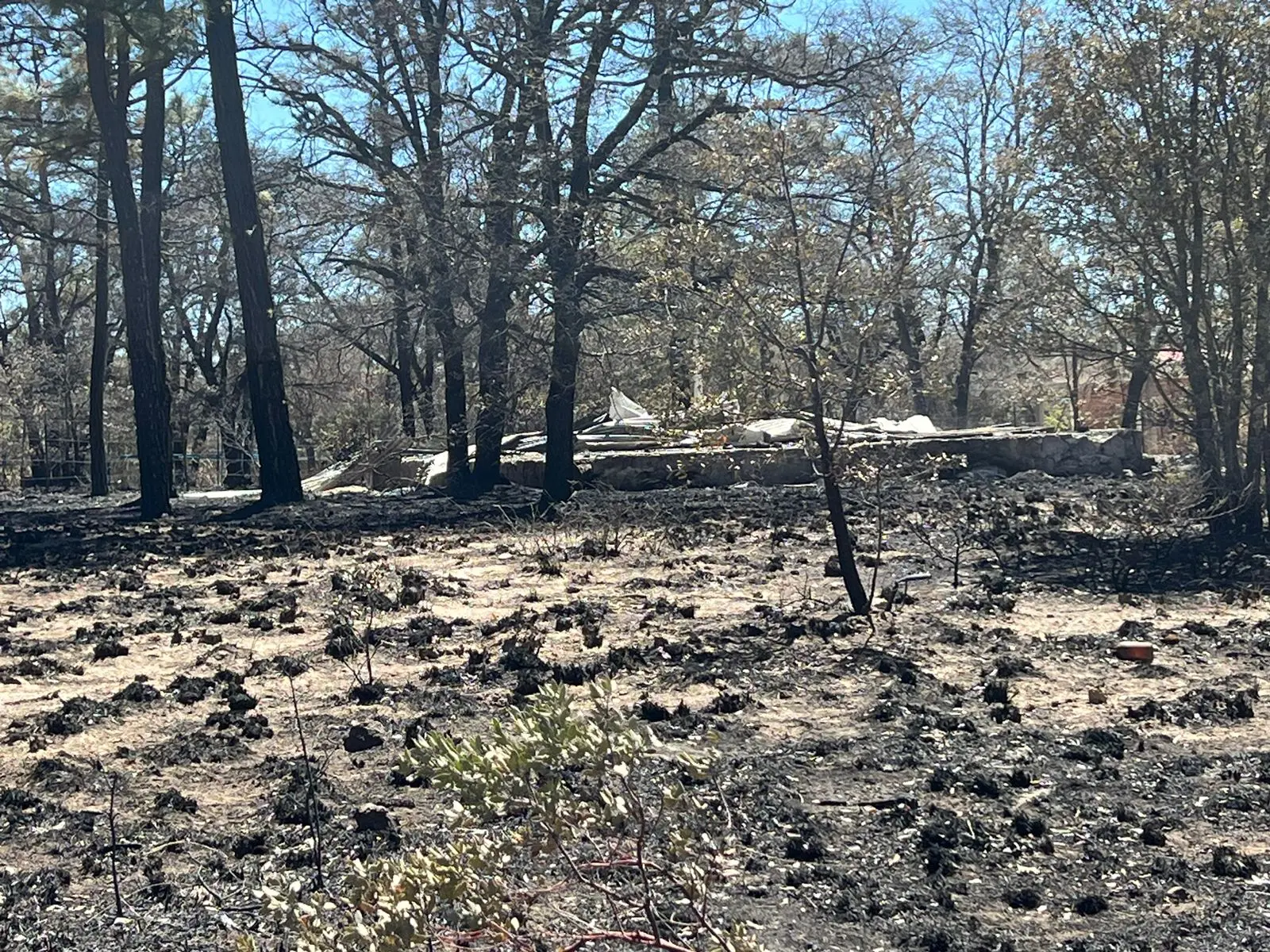 Dueños de cabañas afectadas por incendio piden apoyo para reconstruir