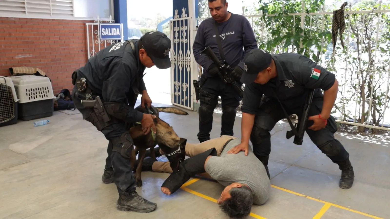 Capacitan a escuadrón canino de la policía estatal