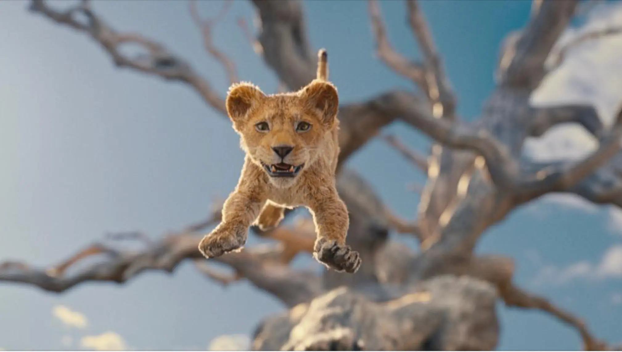 Mufasa El rey león