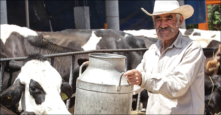 Controlado el problema con lecheros: SEDRAE