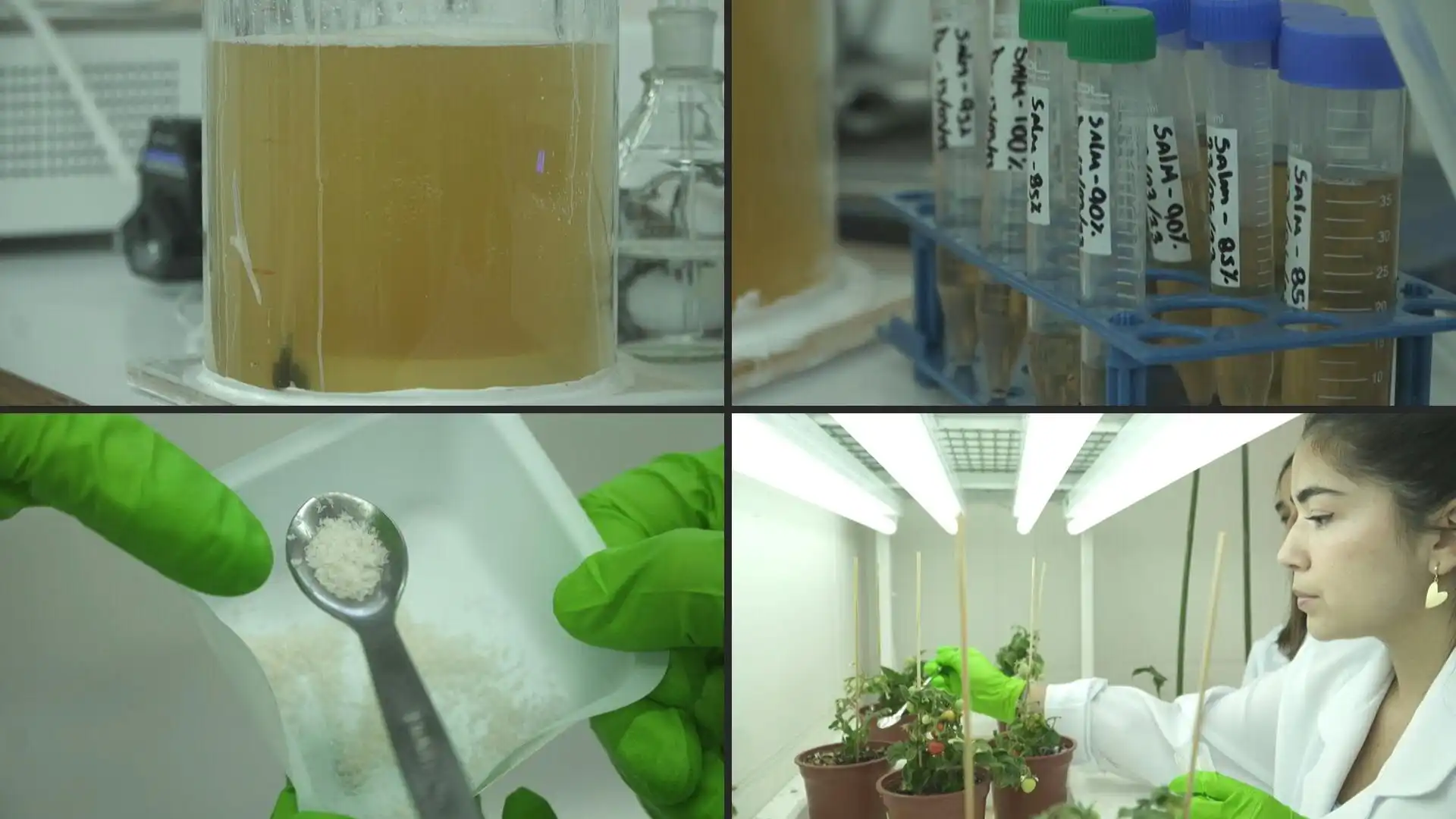 Orina humana, una valiosa fuente de fósforo para la elaboración de fertilizantes
