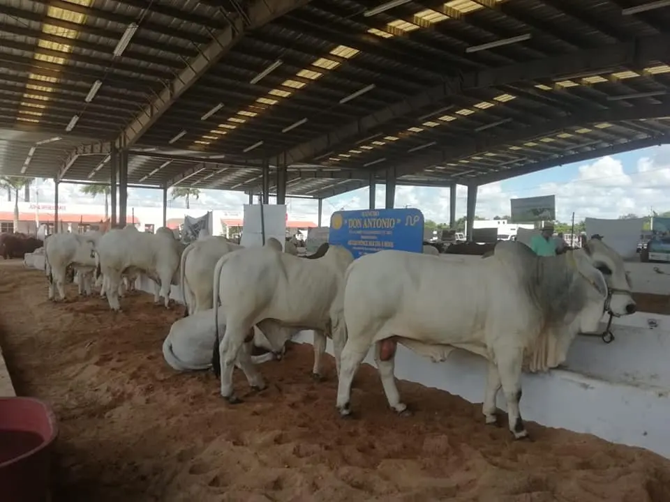 Rastros rebasados por sequía, reconoce SEDRAE