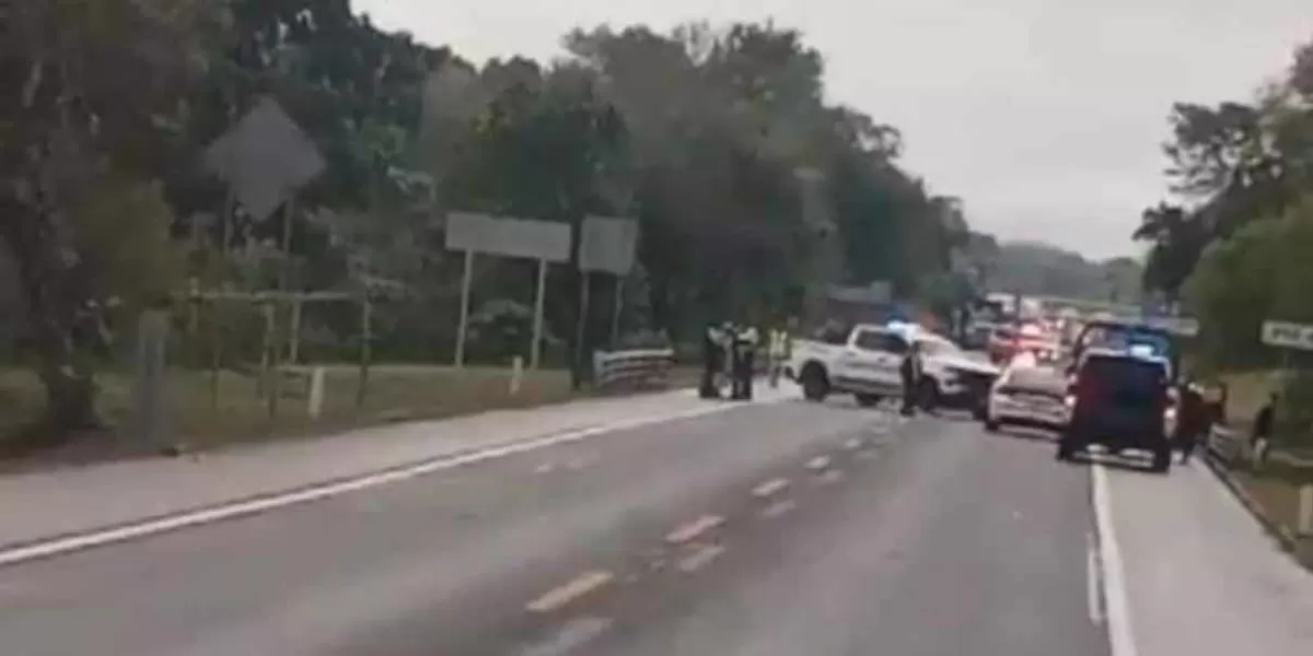 VIDEO. Se enfrentan Guardia Nacional y hombres armados en la autopista México-Tuxpan