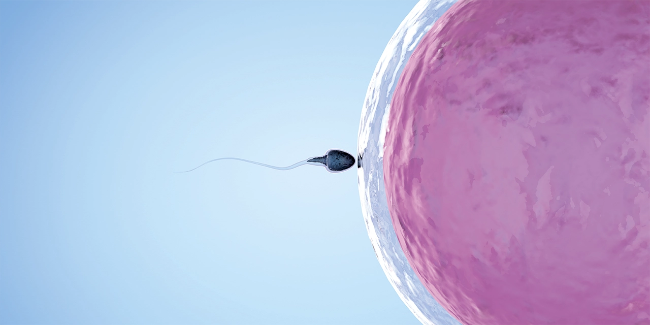 ¿Sexo fácil a cambio de esperma? &#8216;Aspiro a ser madre soltera por elección&#8217;