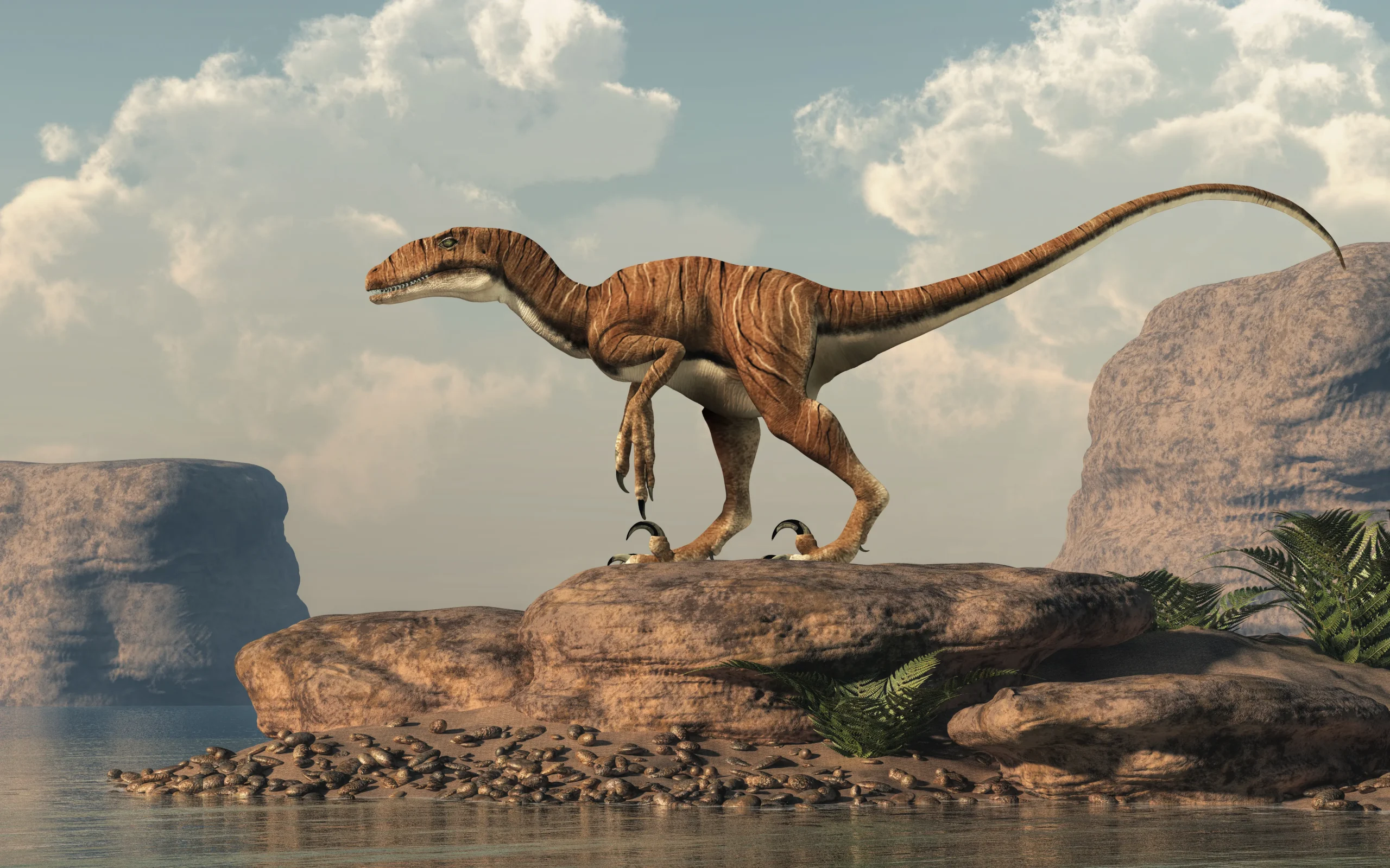 huellas velocirraptor