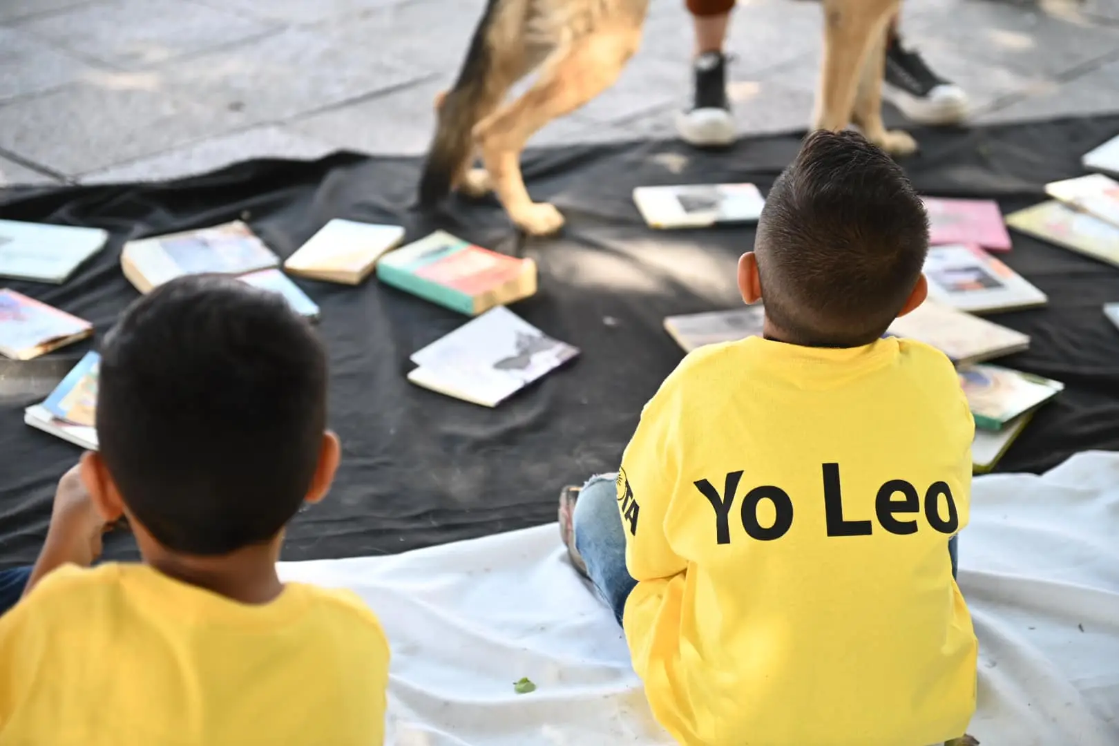 Presenta Leo Montañez propuesta para fomentar la lectura