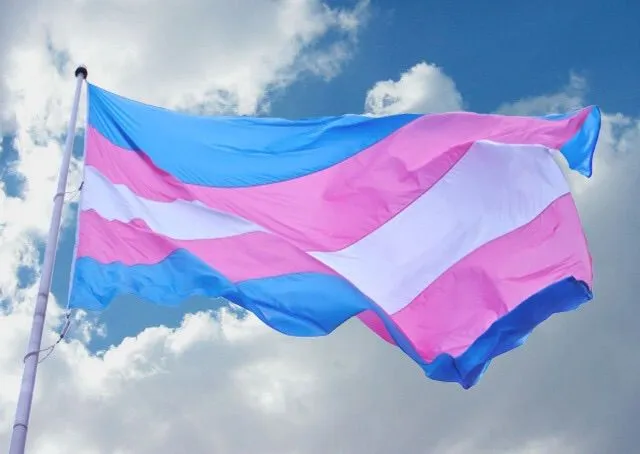 Personas trans reclaman falta de representación en el actual proceso electoral