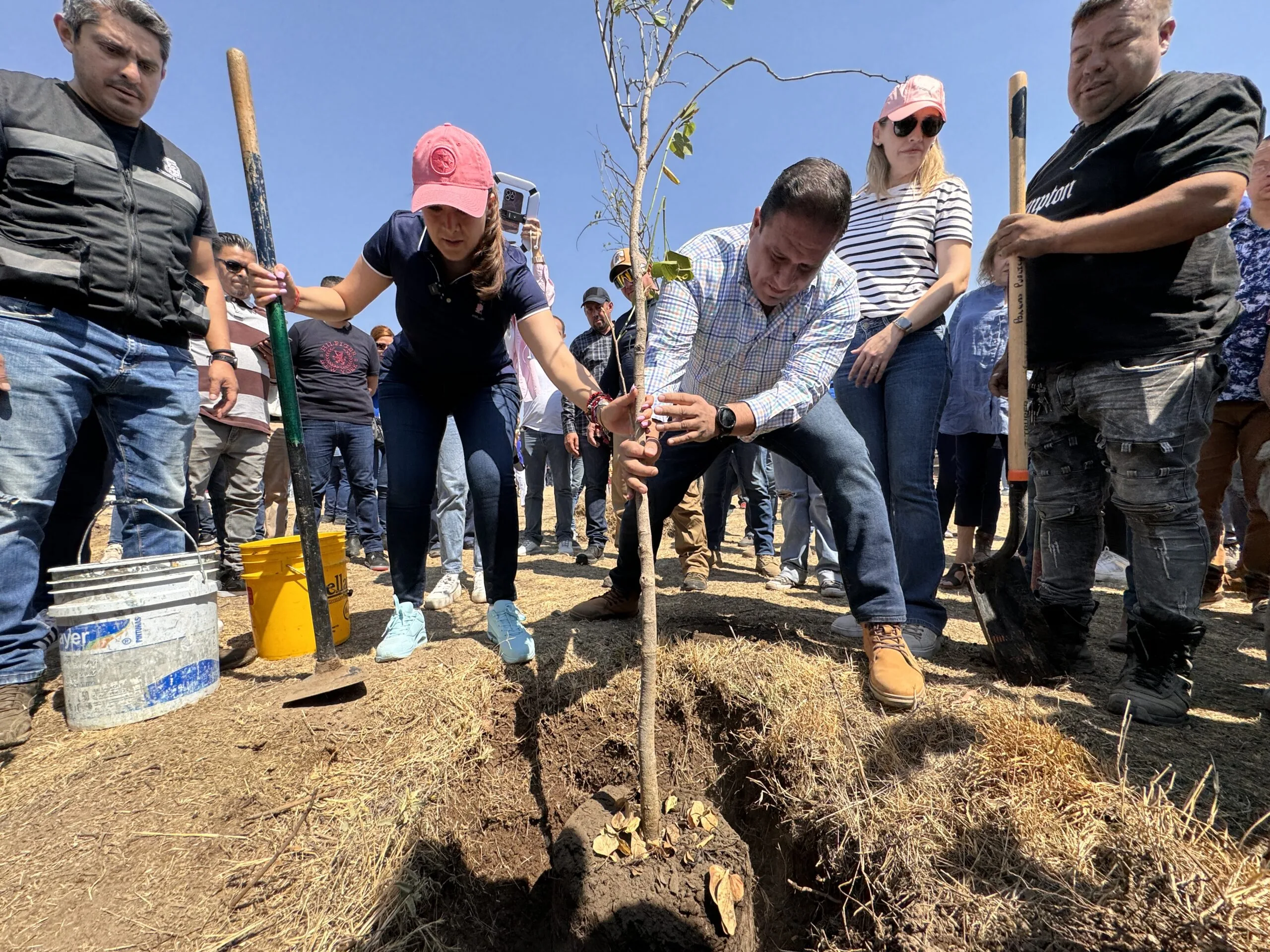 Gobiernno y Ayuntamiento encabezaron jornada de reforestación