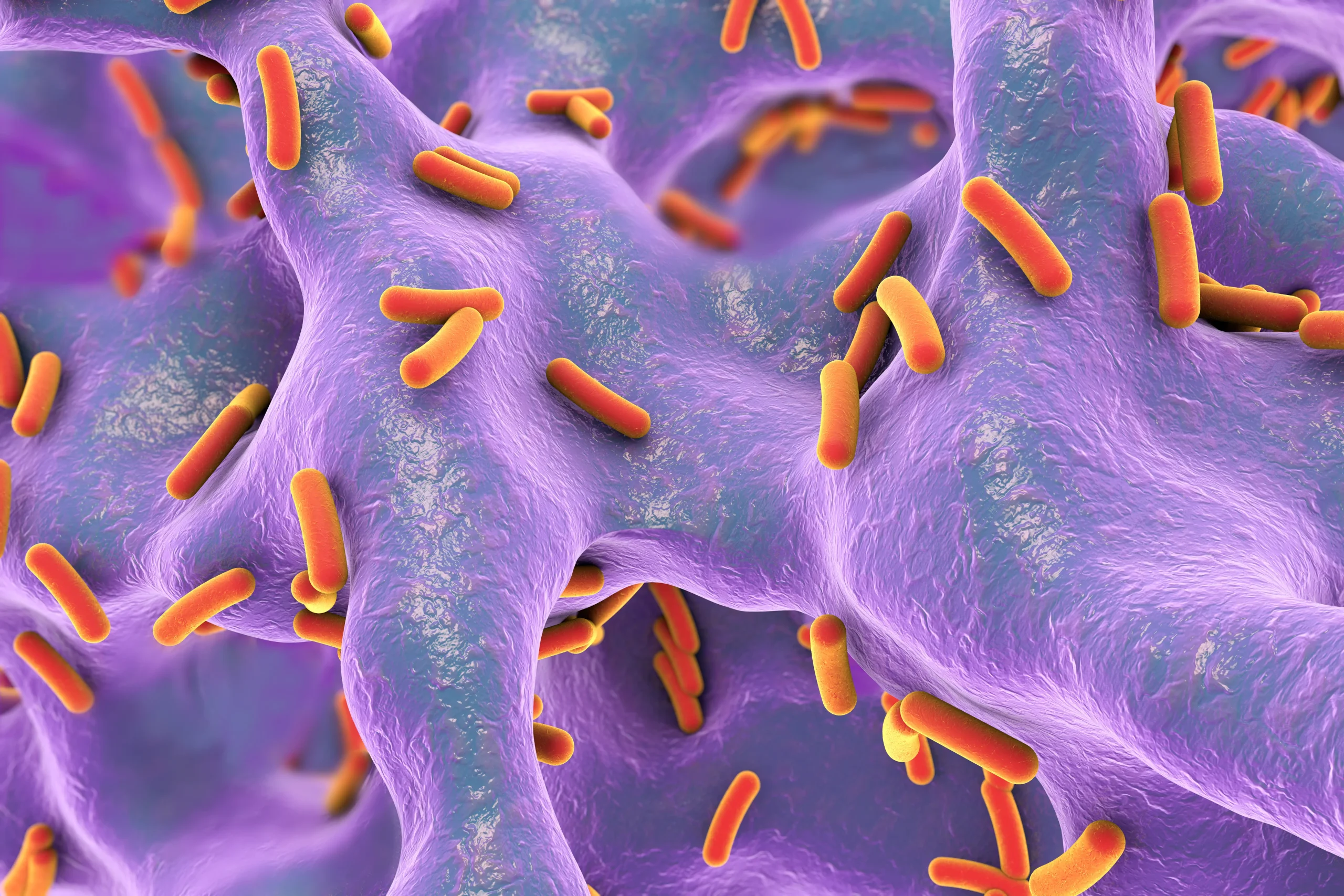 Esta es la nueva lista de bacterias que son la mayor amenaza para la salud humana