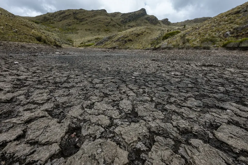 El niño América Latina