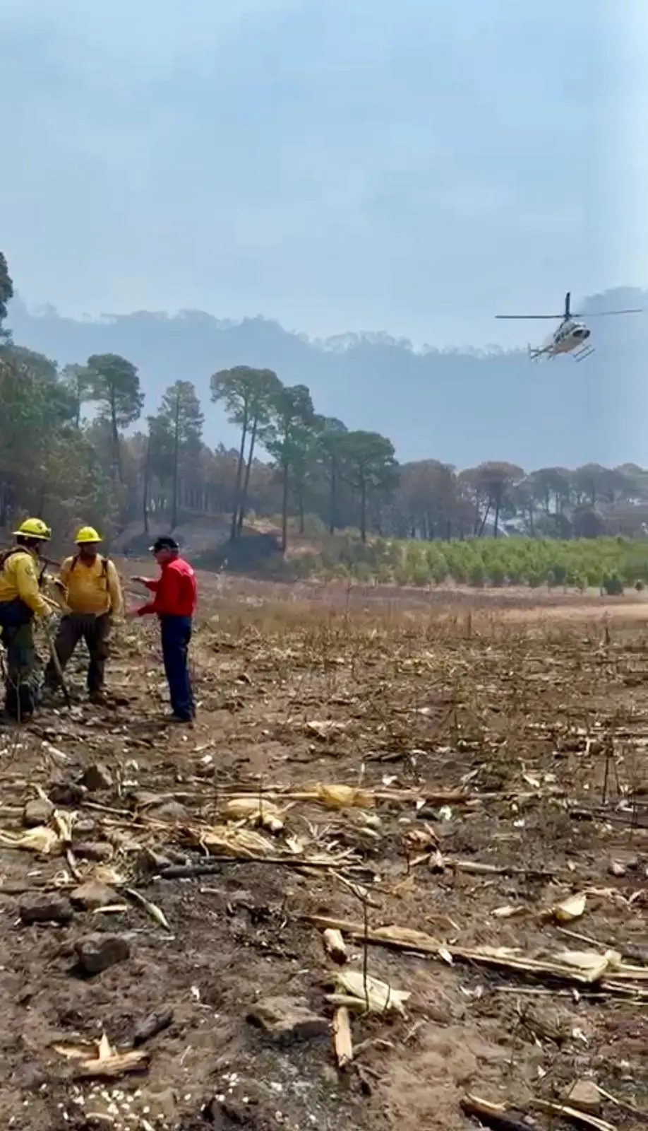 Sofocados al 80 por ciento los dos incendios forestales en San Dimas 