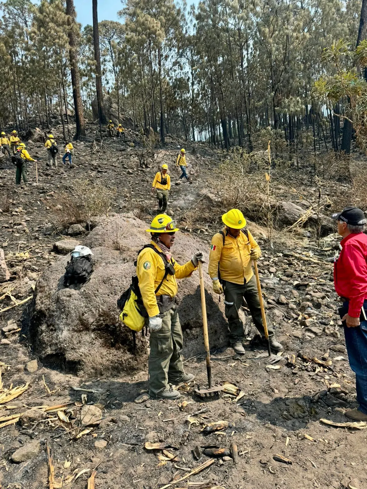 Brigadistas incendios forestales en San Dimas