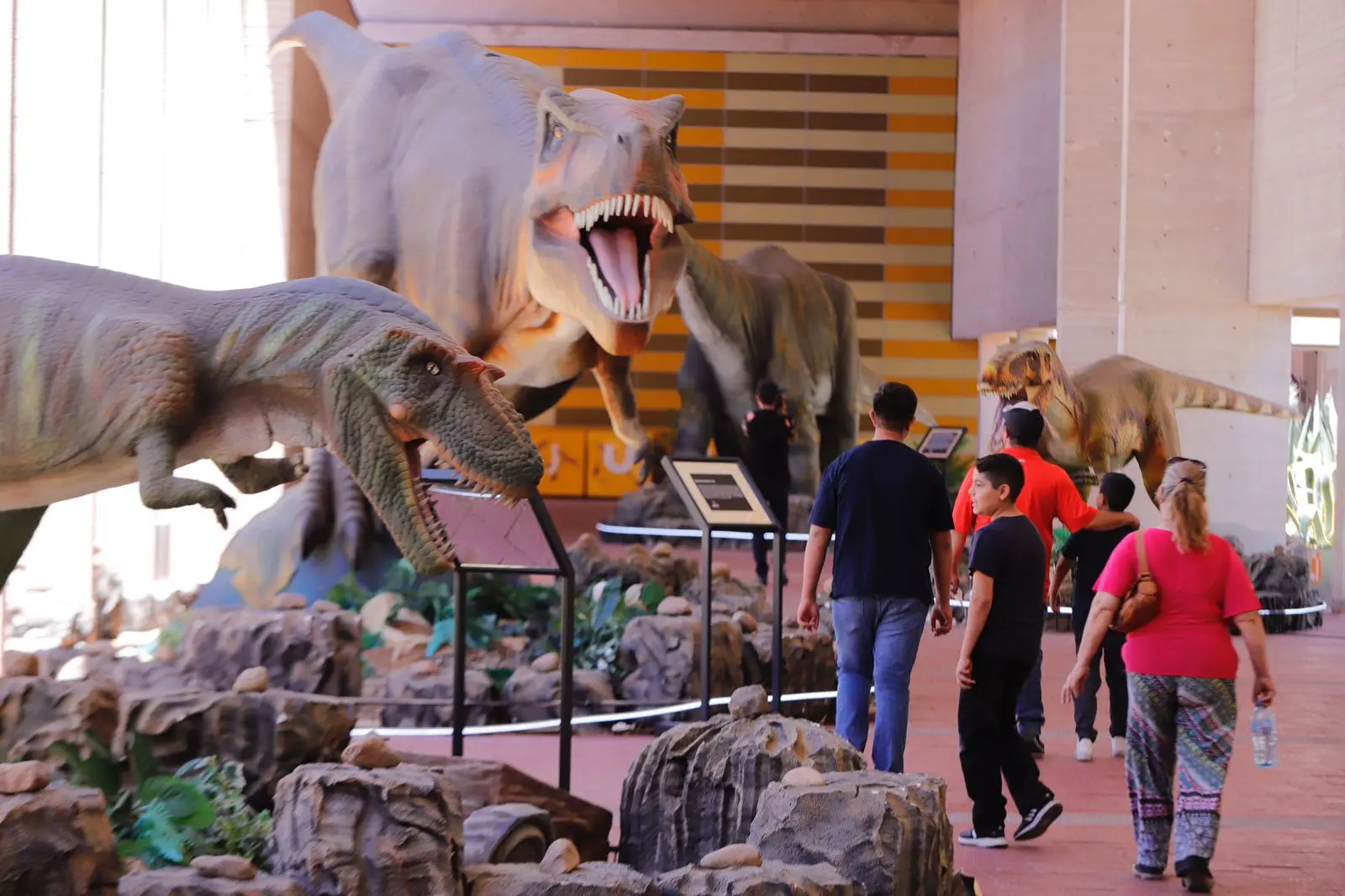 Extienden exposición de dinosaurios en el Museo Bebeleche