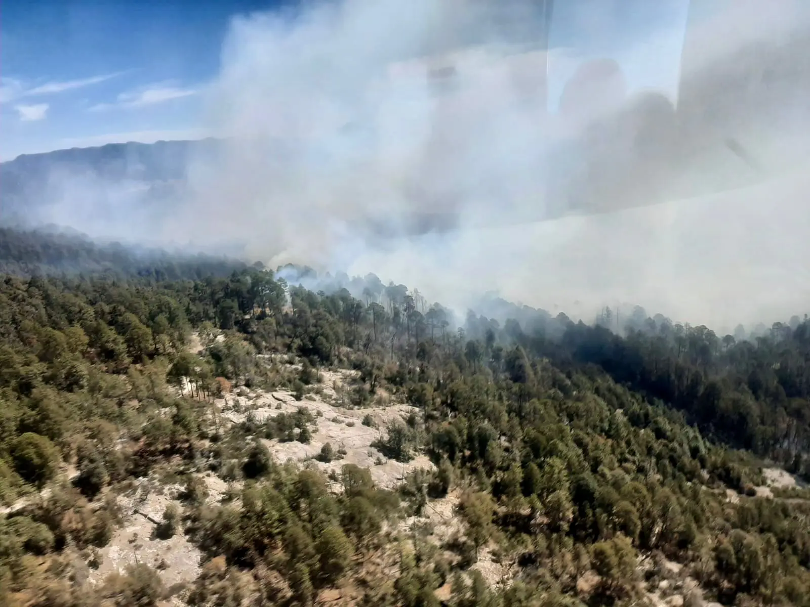 Durango alcanzó 122 incendios forestales este 2024