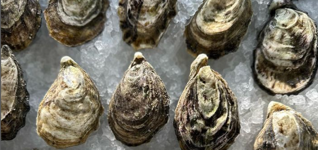 Baja California Celebra su Entrada Triunfal en la Guía Michelin: Restaurantes Locales Alcanzan la Cima de la Gastronomía