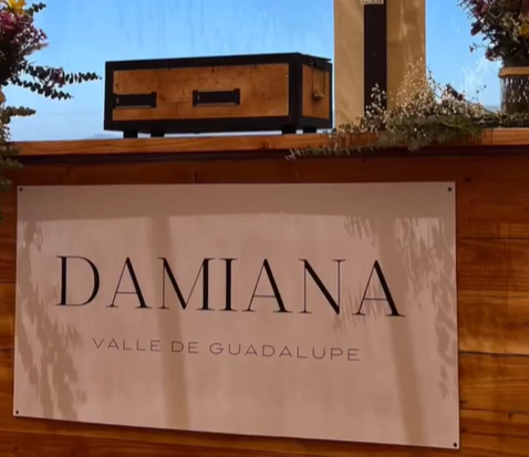 Restaurante Damiana obtiene Estrella Michelín 2024; una historia de pasión por la comida