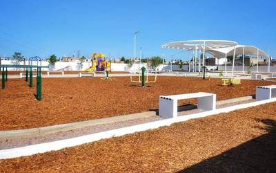 Unidades deportivas no deben cobrar  a los usuarios