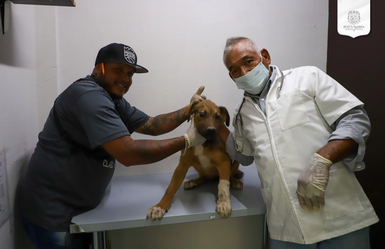 Ofrece Jesús María consultorio veterinario a bajo costo