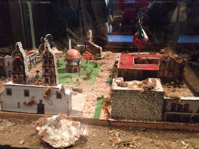 Alacranario del museo de la ciudad principal atracción turística.