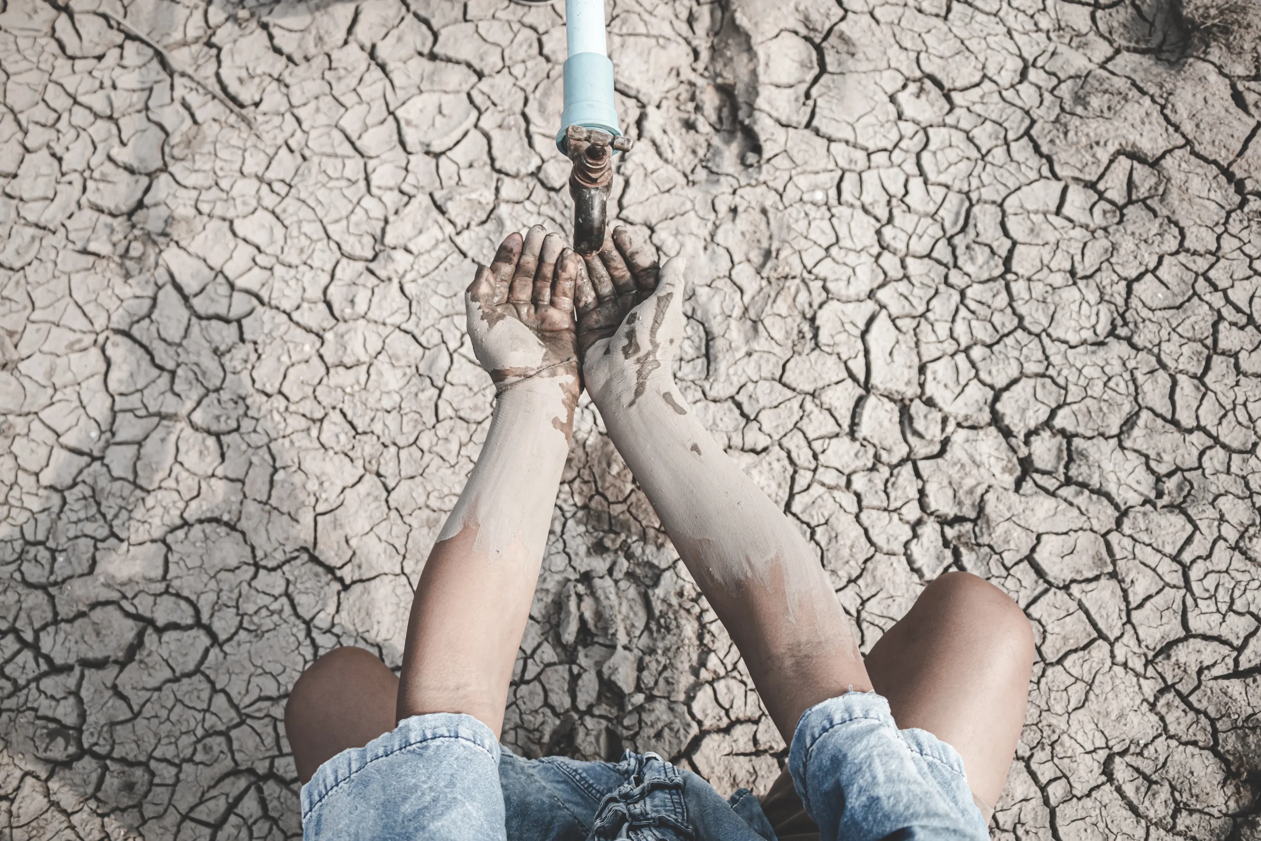Día Mundial del Medioambiente