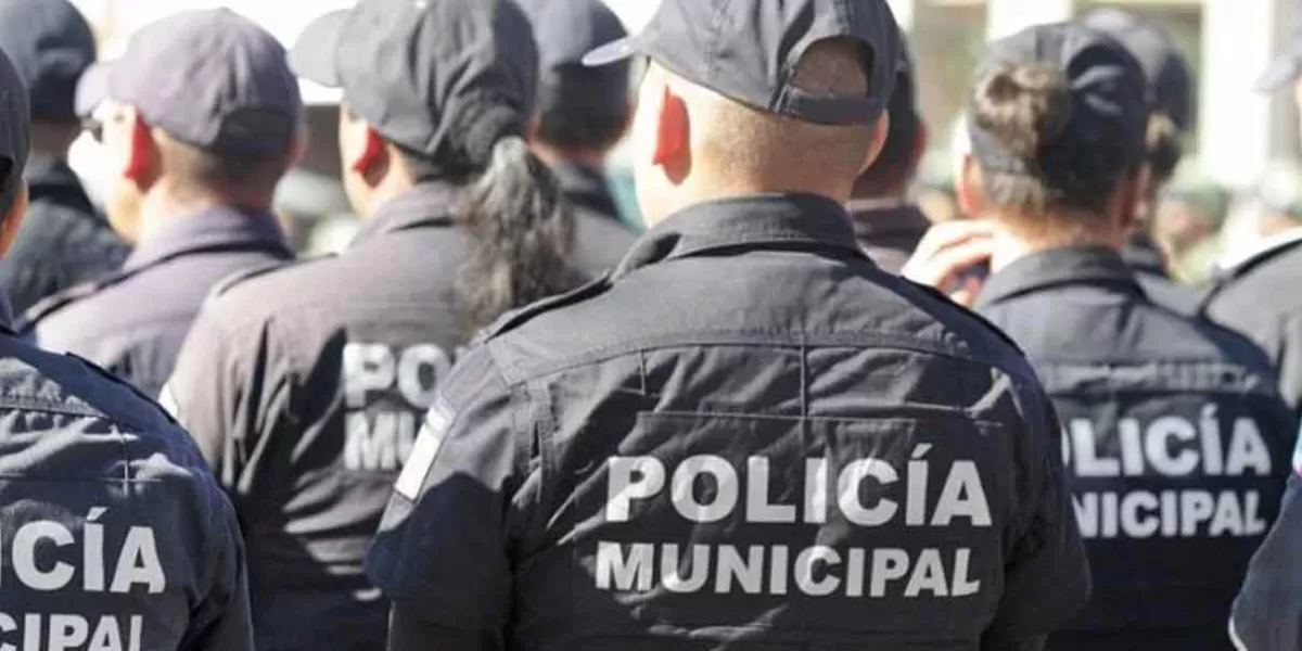 Ediles candidatos