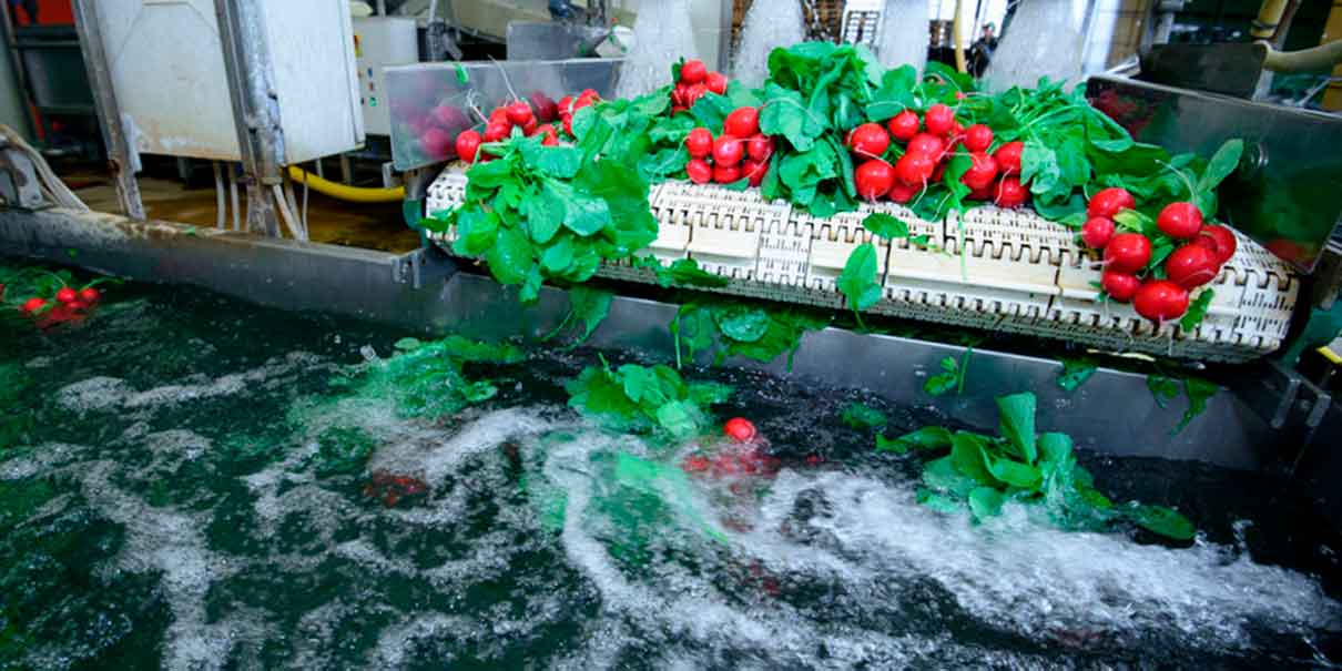 ¿Cuánta agua se necesita para producir los insumos de mayor consumo en México?