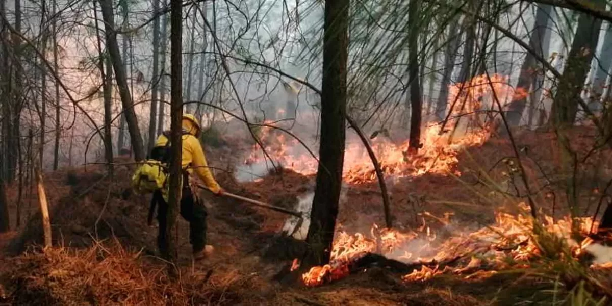 Tres incendios forestales simultáneos en Quimixtlán