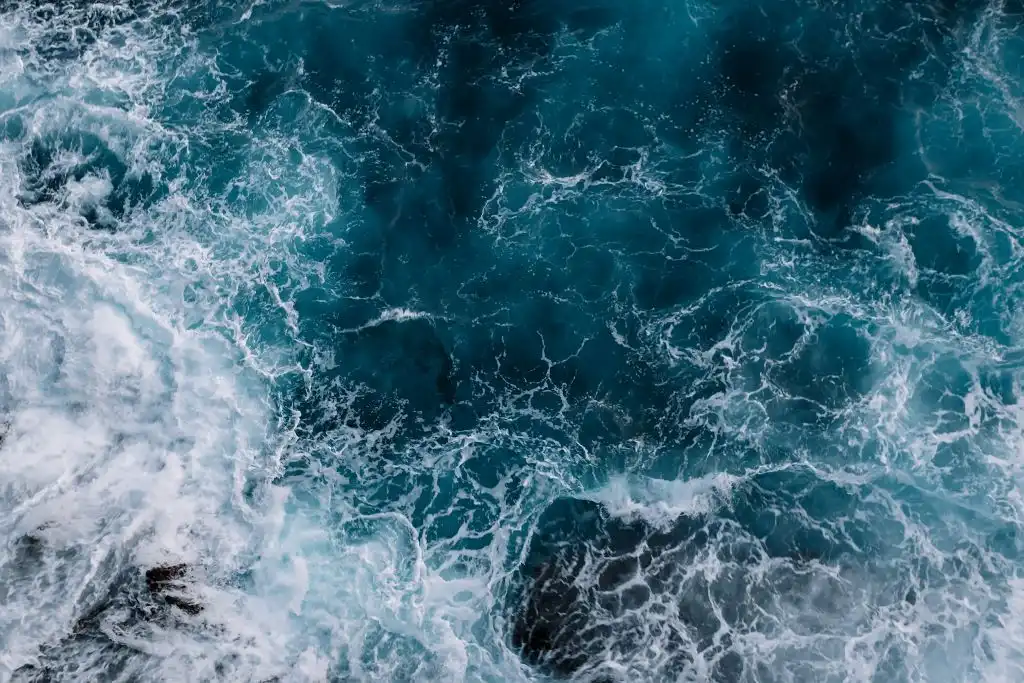 Líderes mundiales discuten estrategias para la salud de los océanos frente al cambio climático
