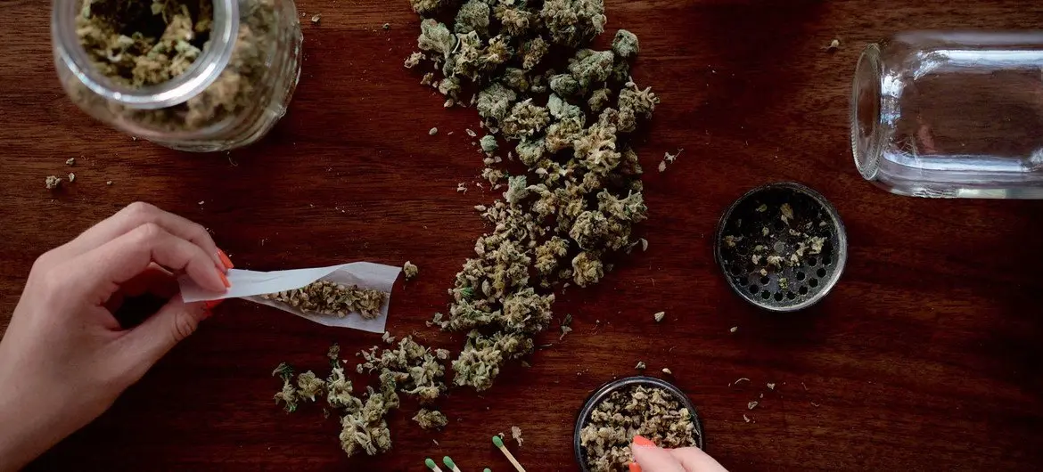 Día Mundial de las Drogas: ciencia y compasión en el combate al consumo de narcóticos