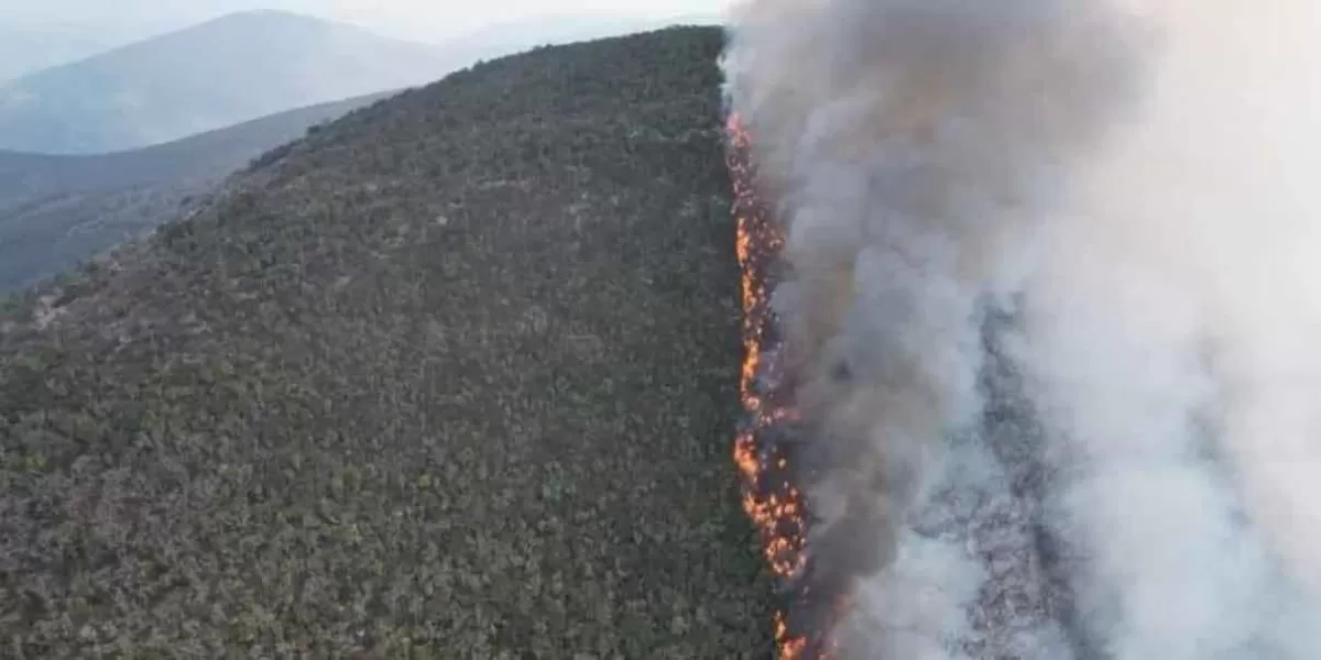 Manifestantes cierran la Tehuacán-Oaxaca; exigen ayuda para apagar incendio forestal en Tepelmeme