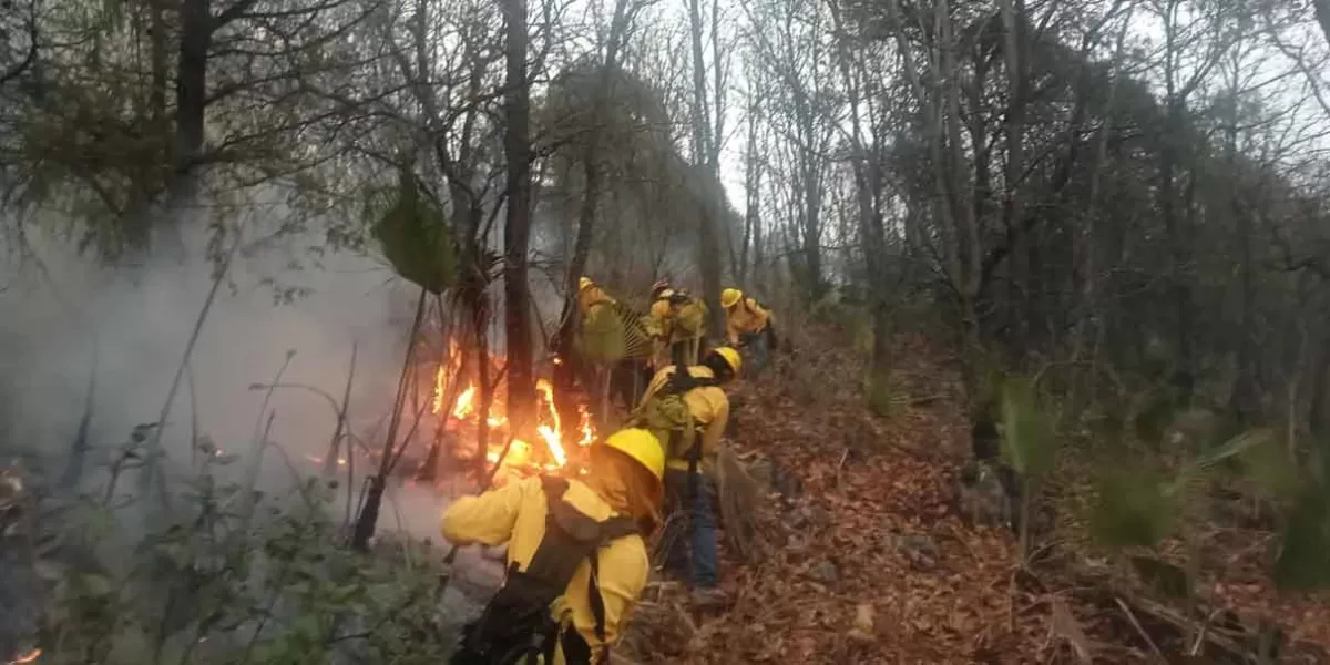 Durango enfrenta 18 incendios forestales en lo que va del año