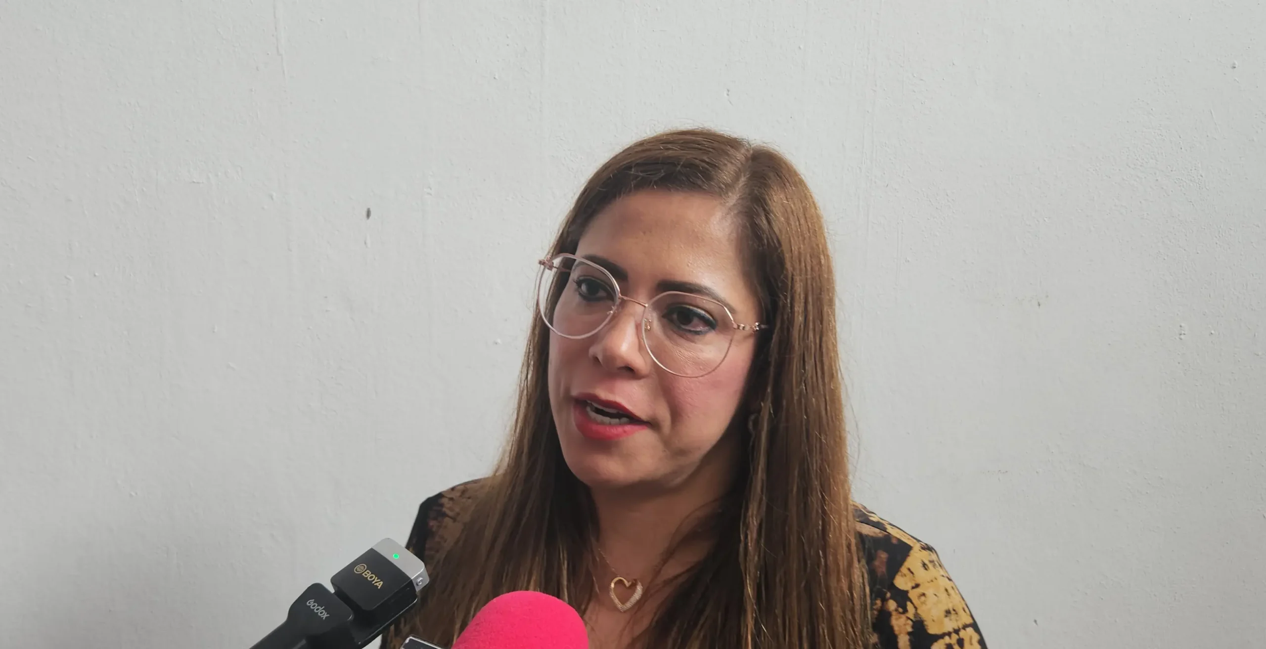 Quejas Derechos Humanos Durango