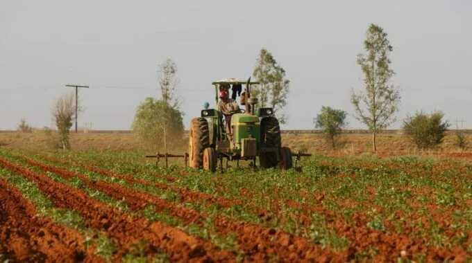 Por inseguridad, agricultores zacatecanos siguen migrando a Aguascalientes