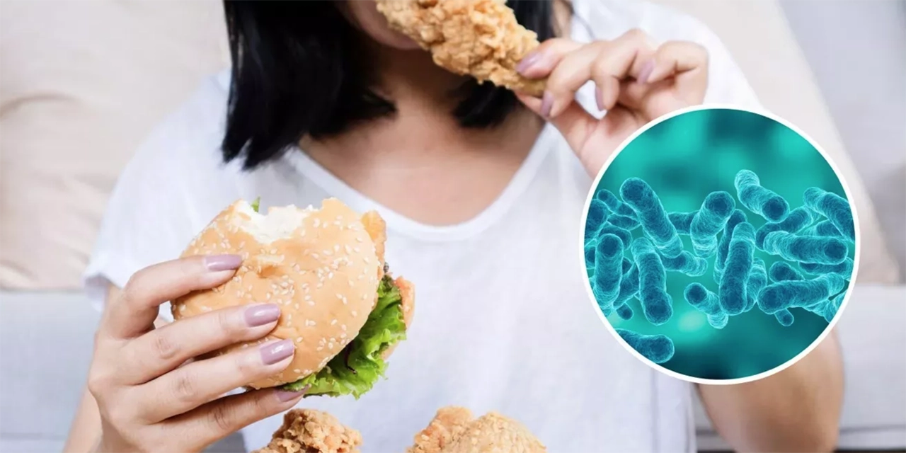 ¿La adicción a la comida es provocada por bacterias intestinales? La ciencia dice que sí