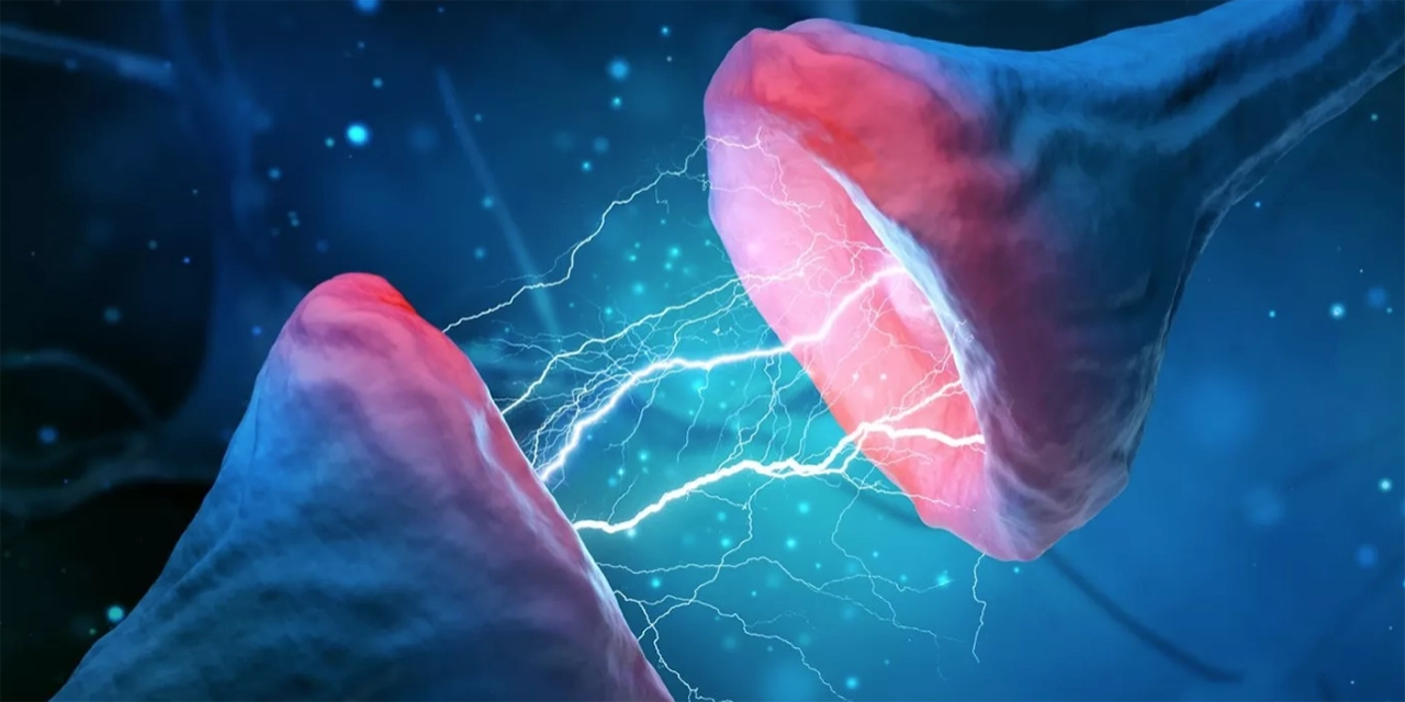 Un nuevo tratamiento promete revertir los síntomas del alzhéimer