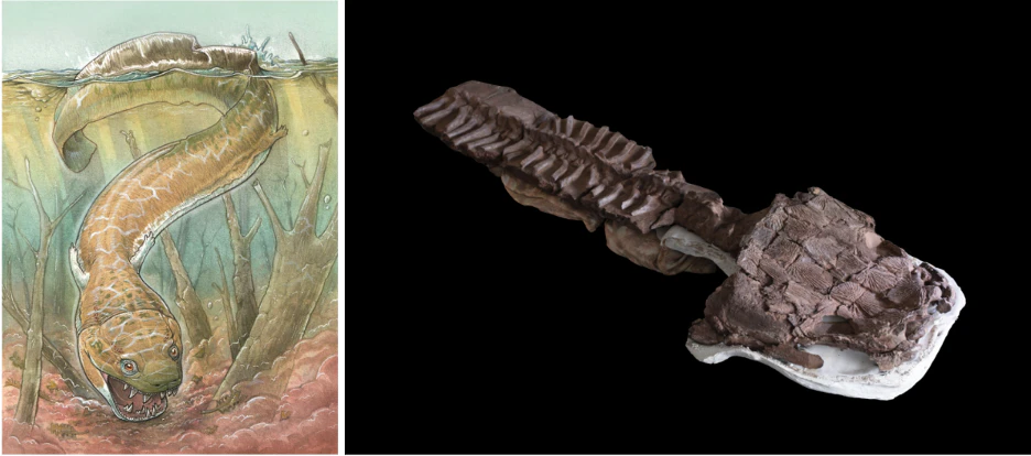 Esta criatura gigante era uno de los principales depredadores antes de los dinosaurios