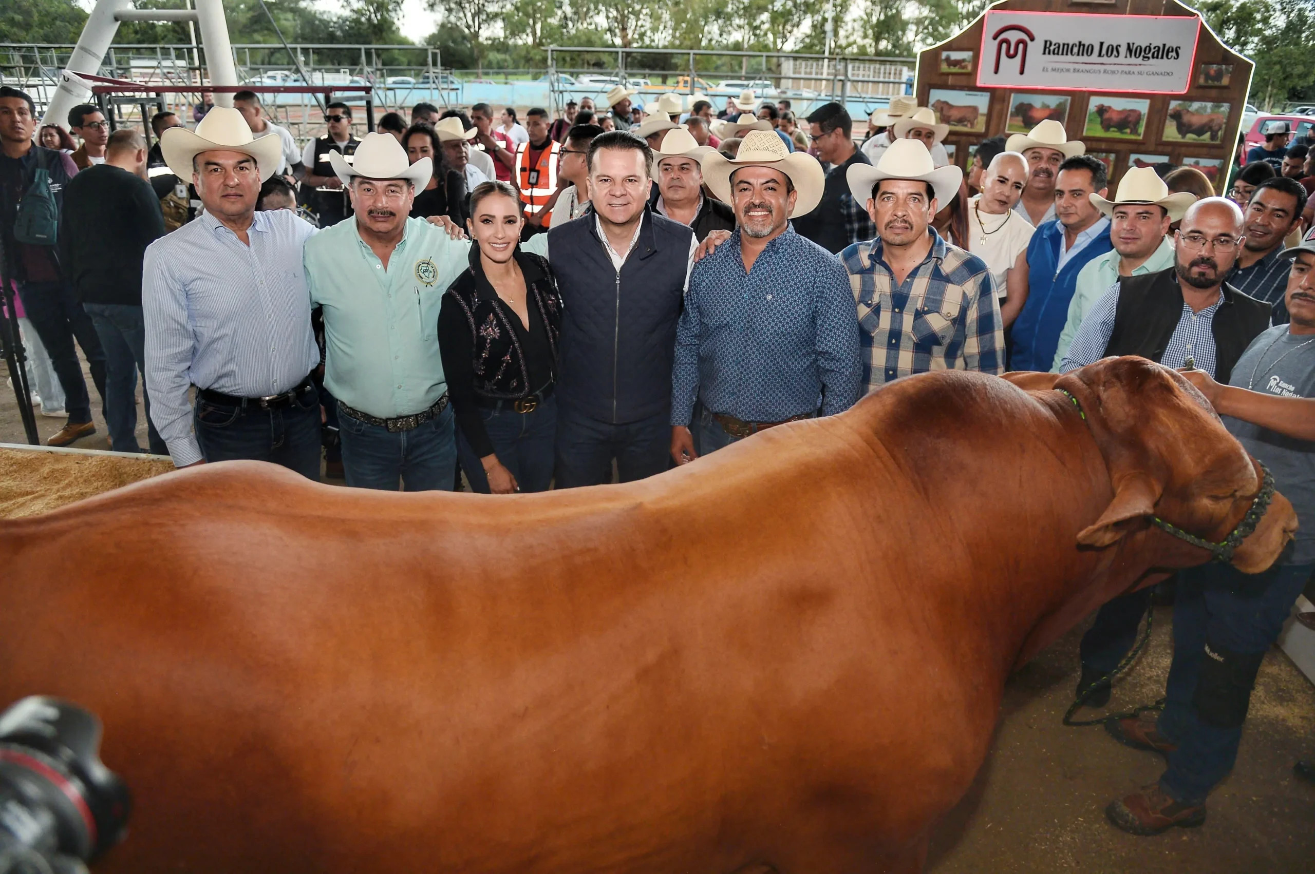Expo Nacional Brangus Mexicana 2024