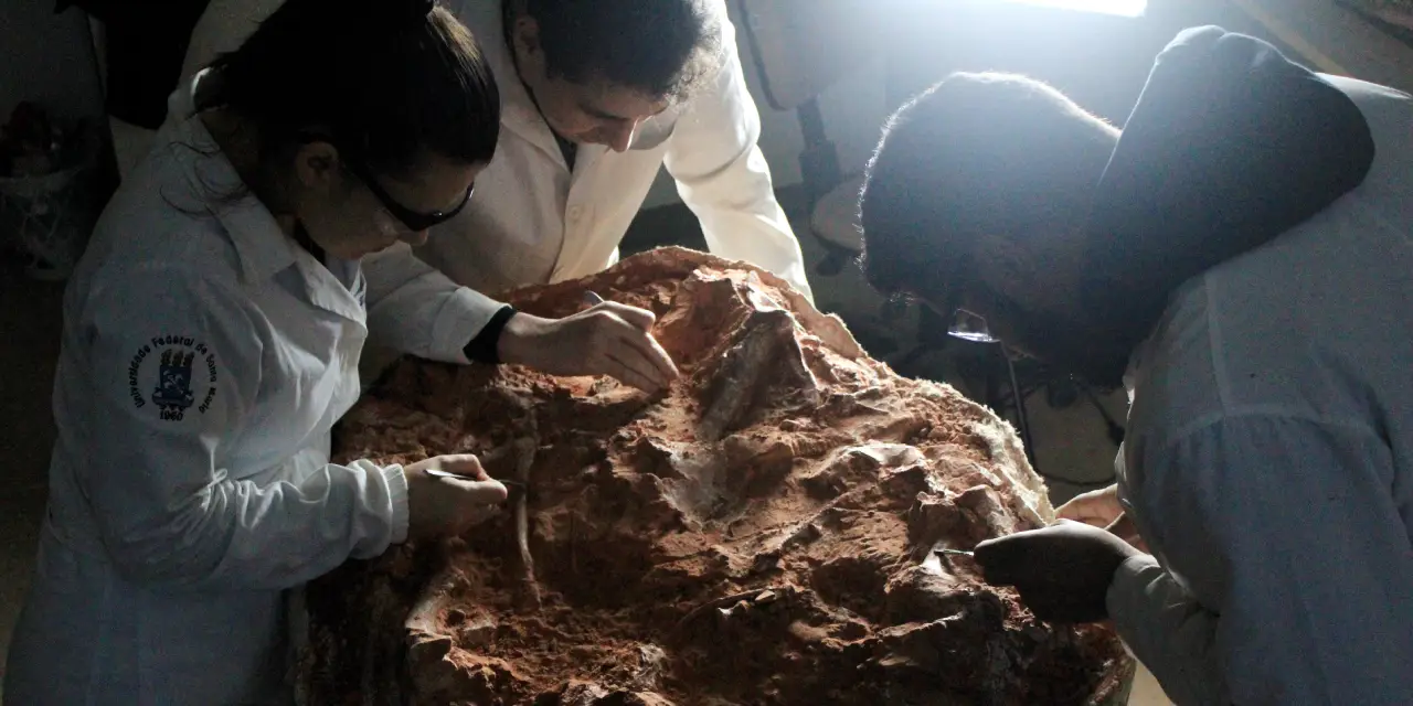 Intensas lluvias exponen fósil de dinosaurio de más de 200 millones de años