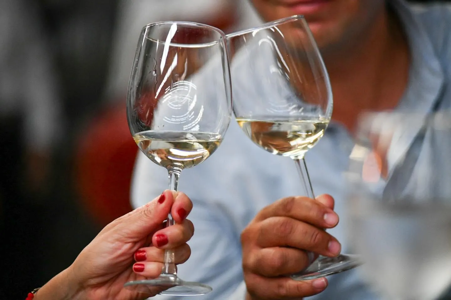 Presentan en Aguascalientes programa &#8220;Vive las Vendimias&#8221; de la Ruta del Vino 2024