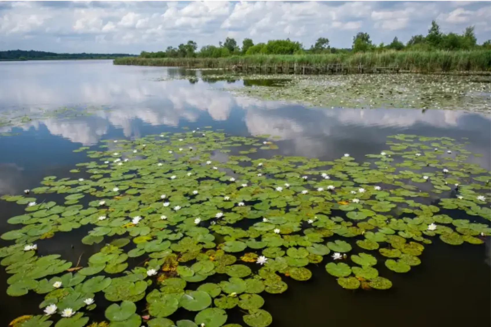 reservas biosfera